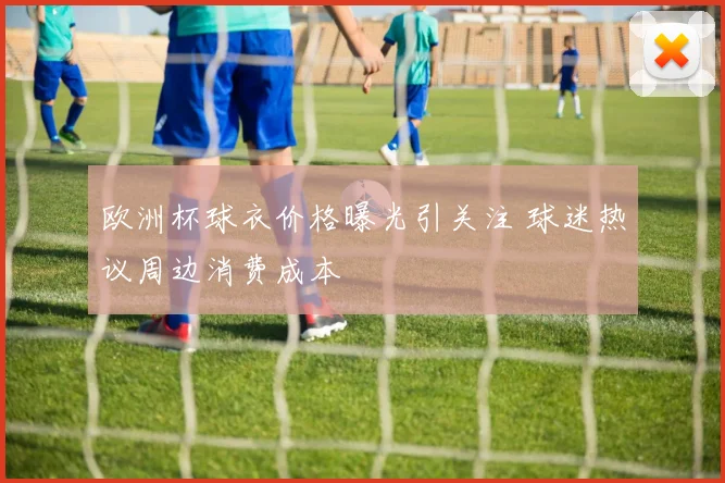 欧洲杯球衣价格曝光引关注 球迷热议周边消费成本