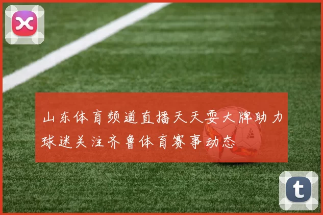 山东体育频道直播天天耍大牌助力球迷关注齐鲁体育赛事动态