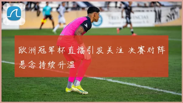 欧洲冠军杯直播引发关注 决赛对阵悬念持续升温