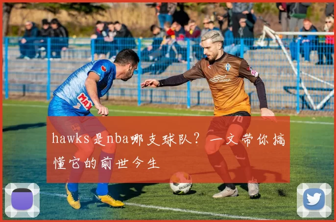 hawks是nba哪支球队？一文带你搞懂它的前世今生
