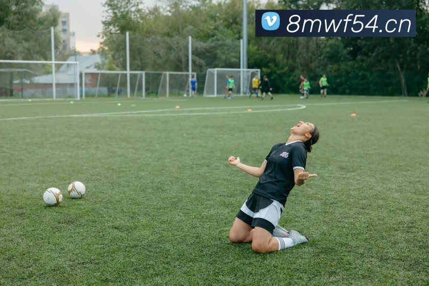 「Kaiyun·中国大陆」 - 官方网站平台生态图